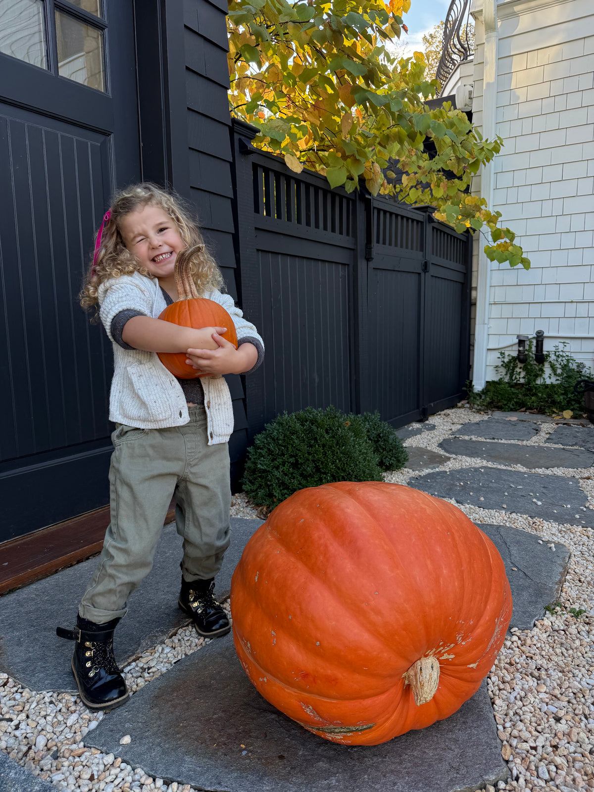 Showstopper Prize Pumpkin