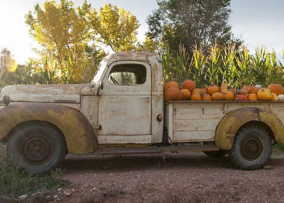 Vintage truck with pumpkins in a field